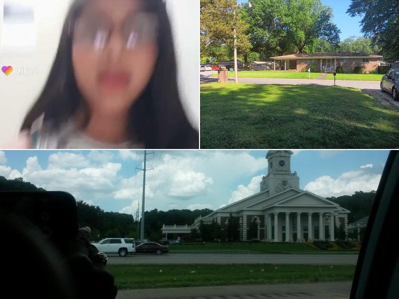 Pine Cone Tree Service