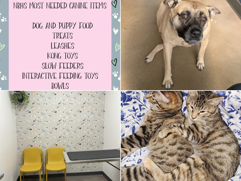 Thrive Pet Healthcare (New Braunfels)