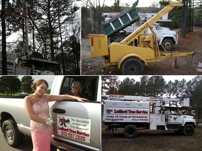 Ledford Tree Service