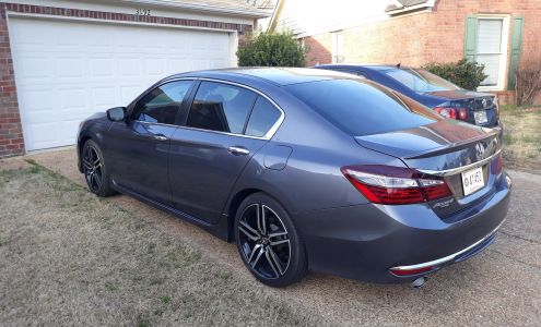 Executive Window Tint