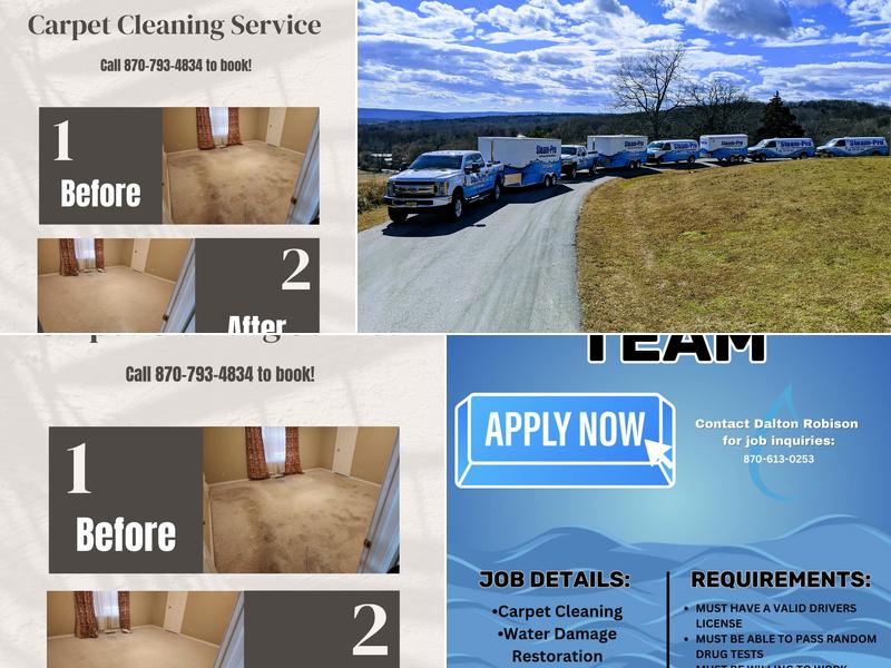 Steam Pro Carpet And Upholstery