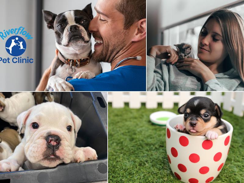 Riverflow Pet Clinic