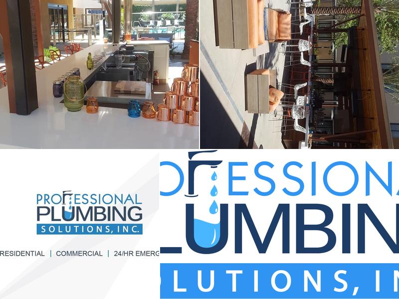 Professional Plumbing Solutions