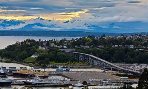 Magnolia Insurance Agency, Inc.