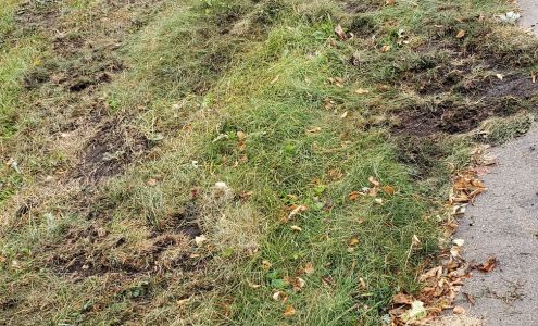 B G Amundson Construction Inc 160 40th St SE, Benson Minnesota 56215