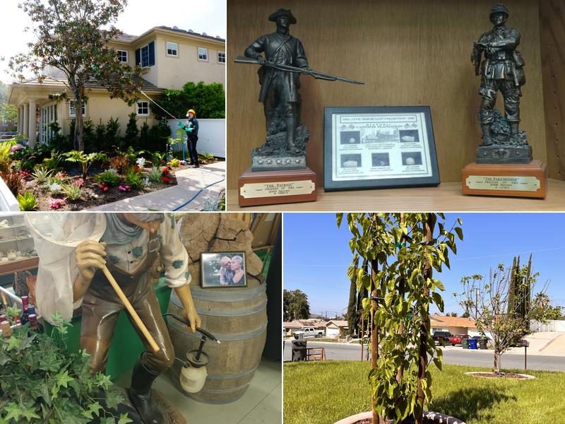 Sims Tree Health Specialists, Inc.