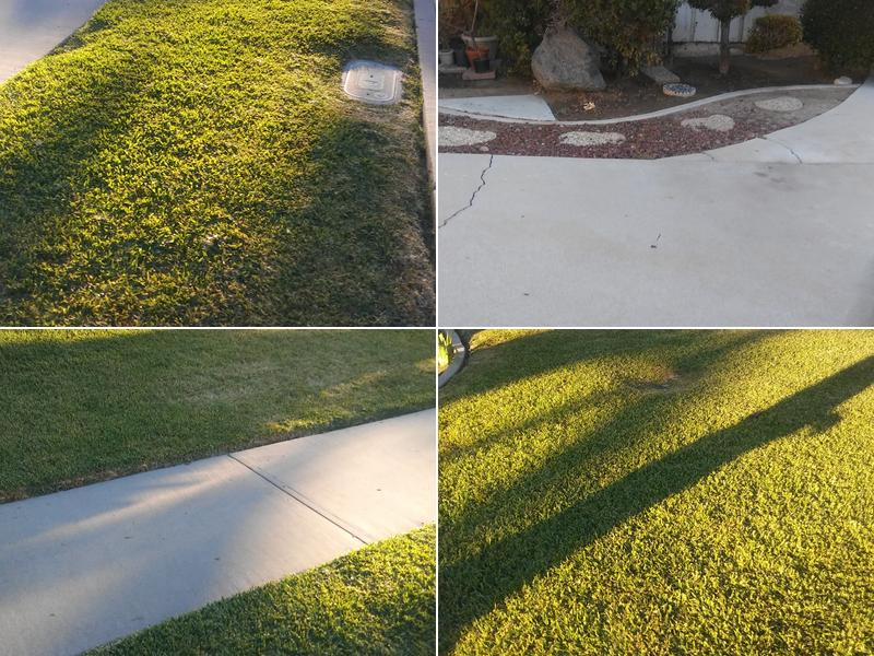 Hacienda Heights Tree Services