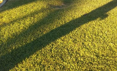 Hacienda Heights Tree Services