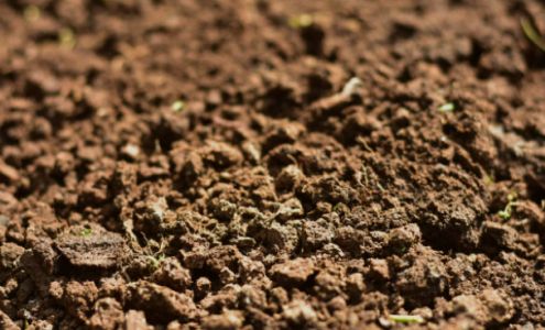 American Soil Amendment Products and Nursery