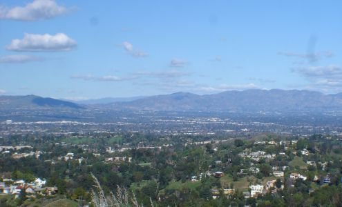 The Michael Abbott Company