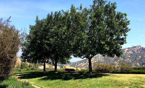 Rose Linda Gonzales 1030 Foothill Blvd, La Cañada Flintridge California 91011