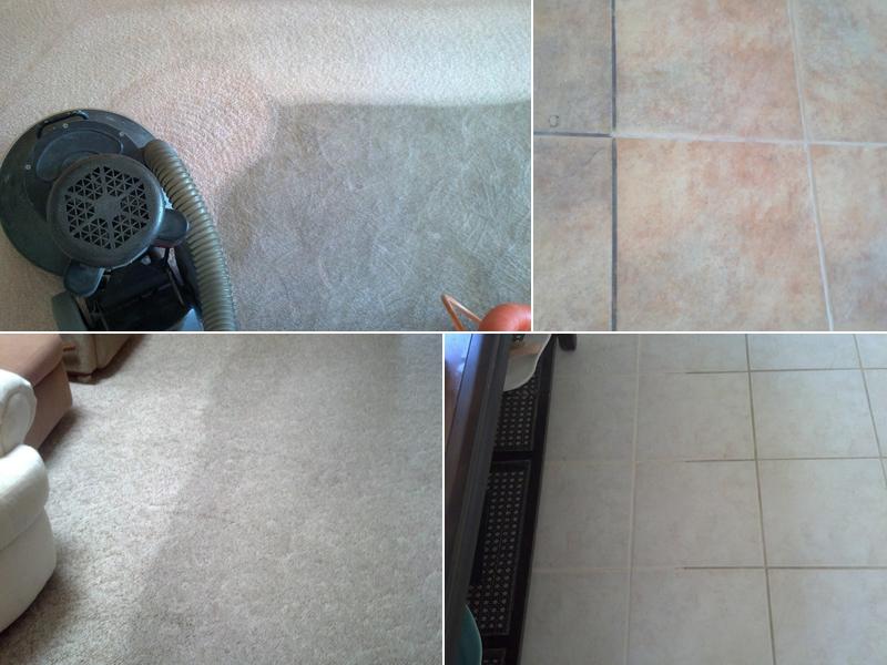 Citrus Carpet & Tile Care