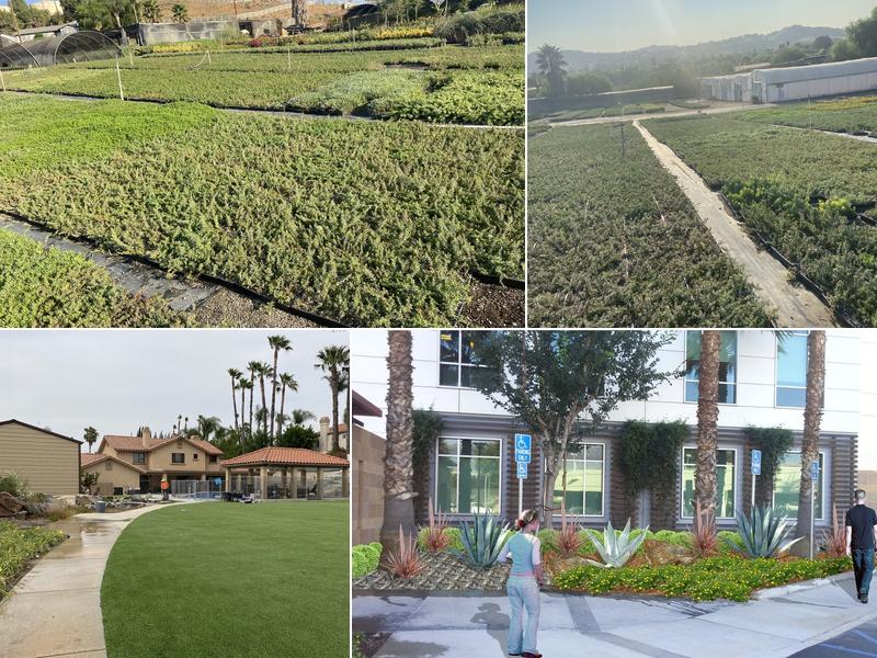 Cal Oasis Design Associates