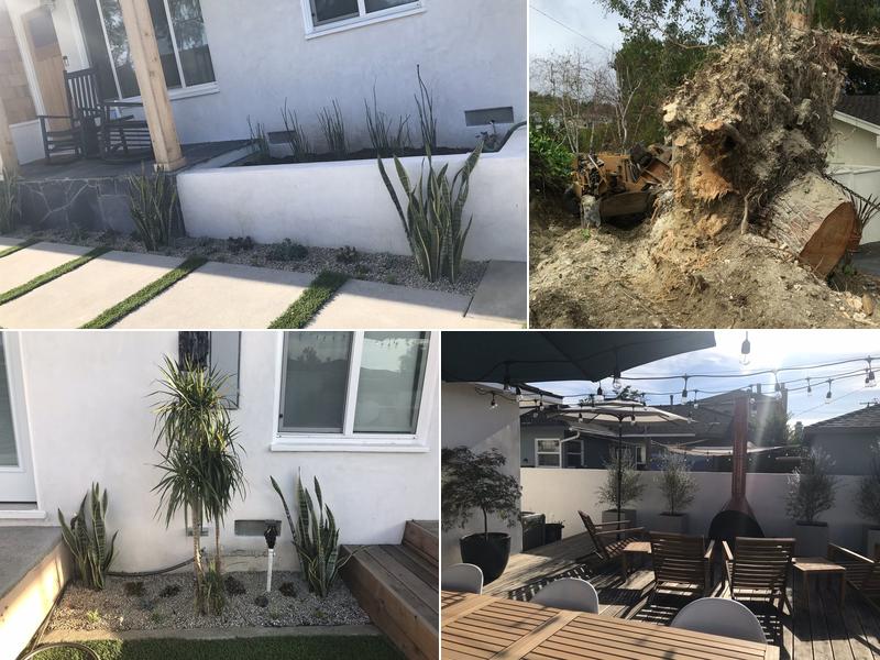 Dynamite Stump Grinding / Removal