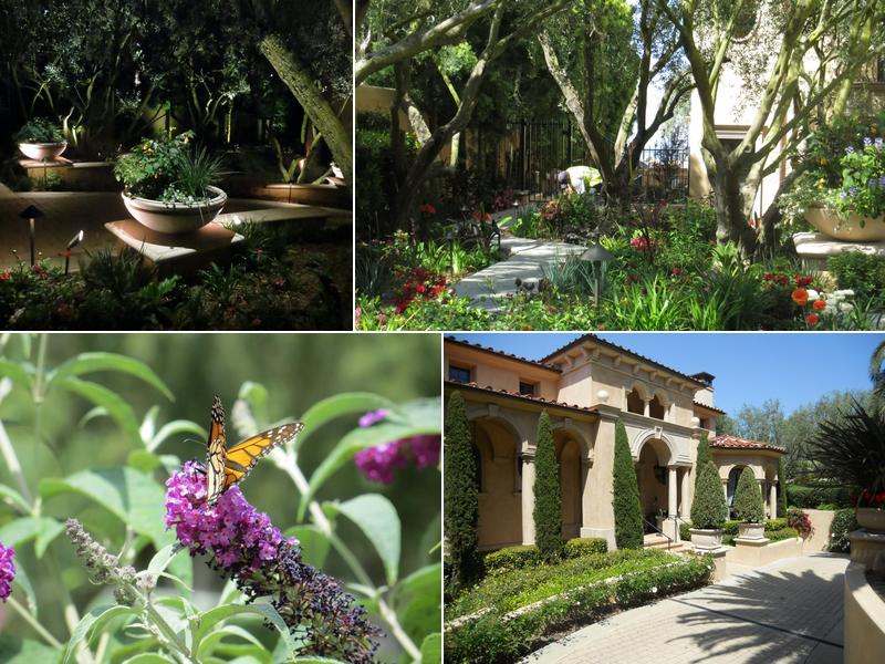 Environment Unlimited