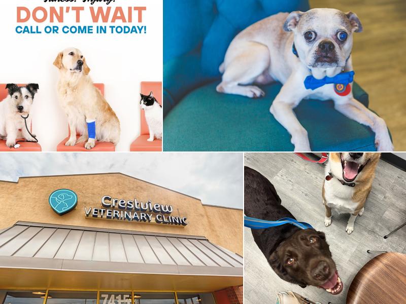 Crestview Veterinary Clinic