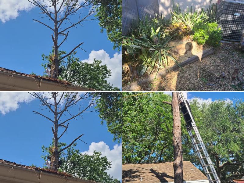 Mcgee pro cleaning and lawn services llc