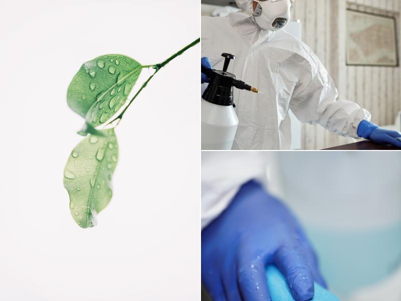 Decon Environmental Cleaning