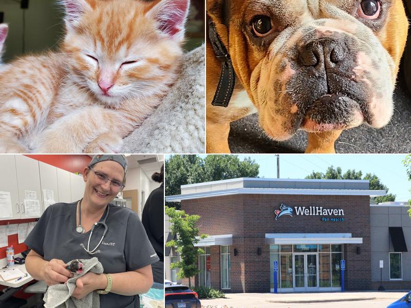 WellHaven Pet Health Coon Rapids