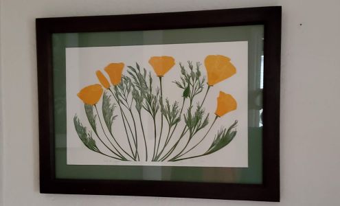 Crane Creek Graphics Inc