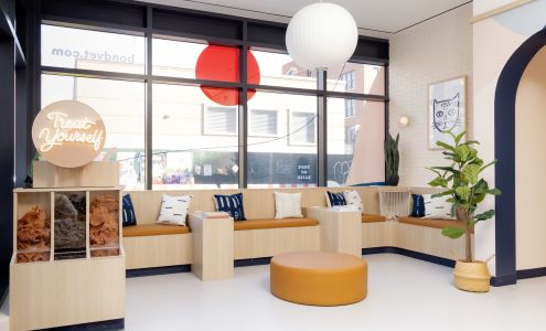 Bond Vet - Park Slope