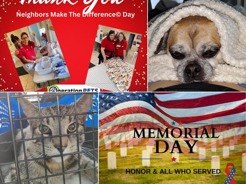 Operation Pets Spay/Neuter