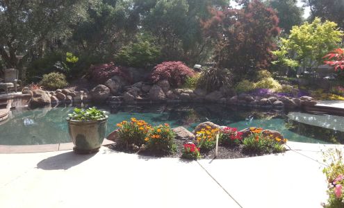 Landscapes By Rhodes