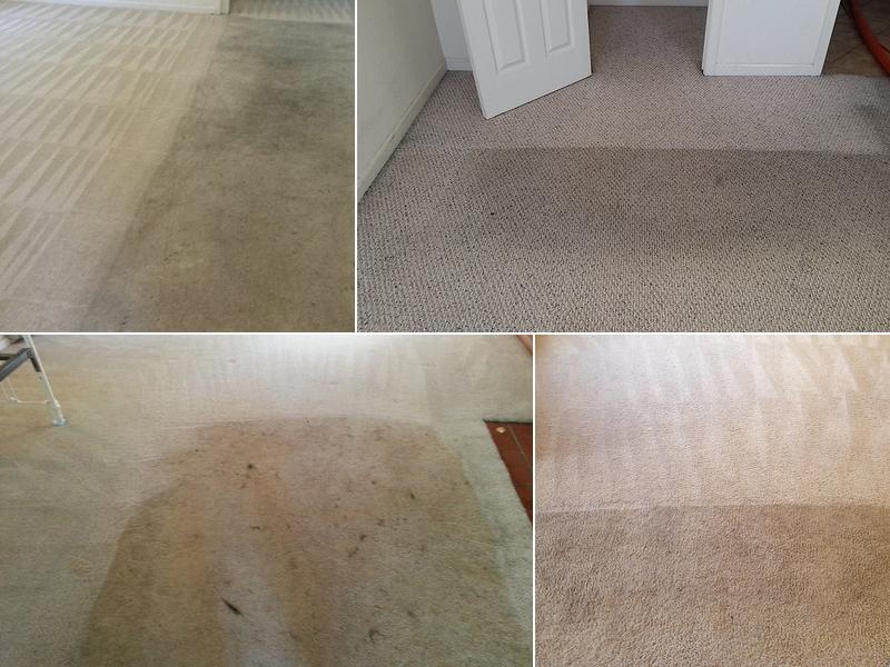 World Class Carpet Cleaning