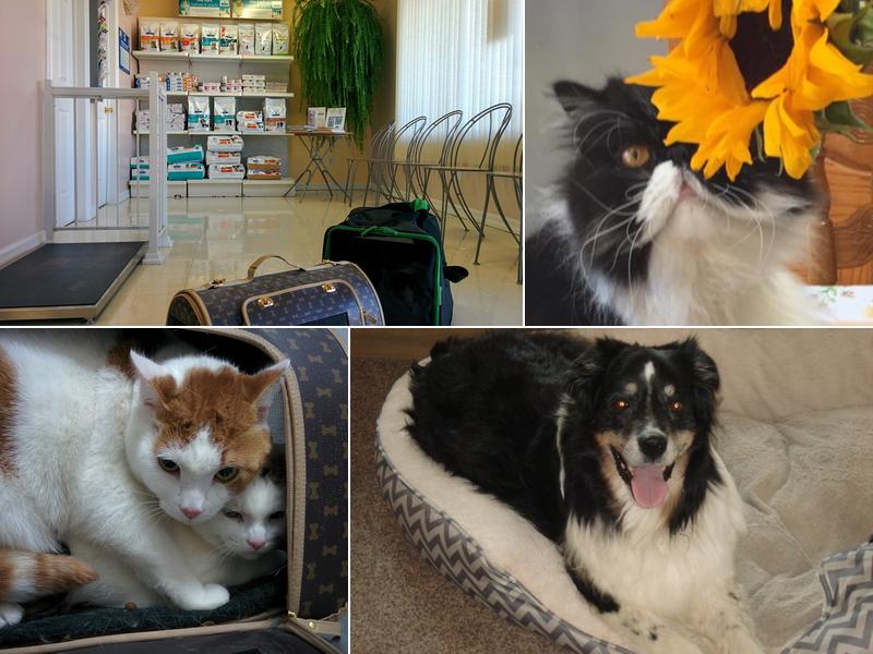 Niagara Veterinary Services