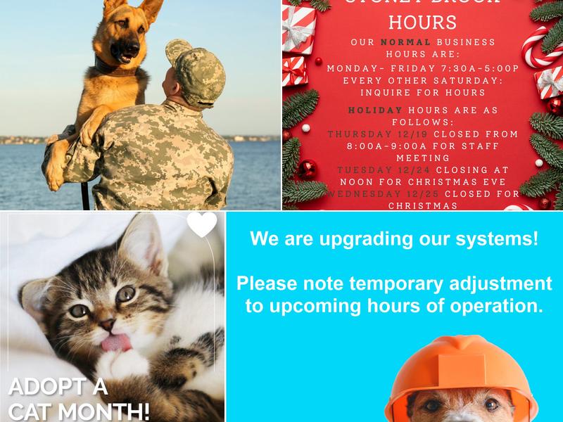 Stone Brook Area Veterinary Service