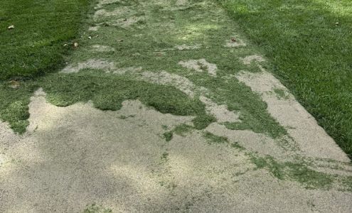 Carson Landscape Industries