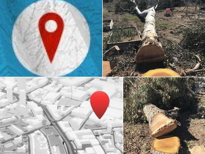 Campbells Tree Service