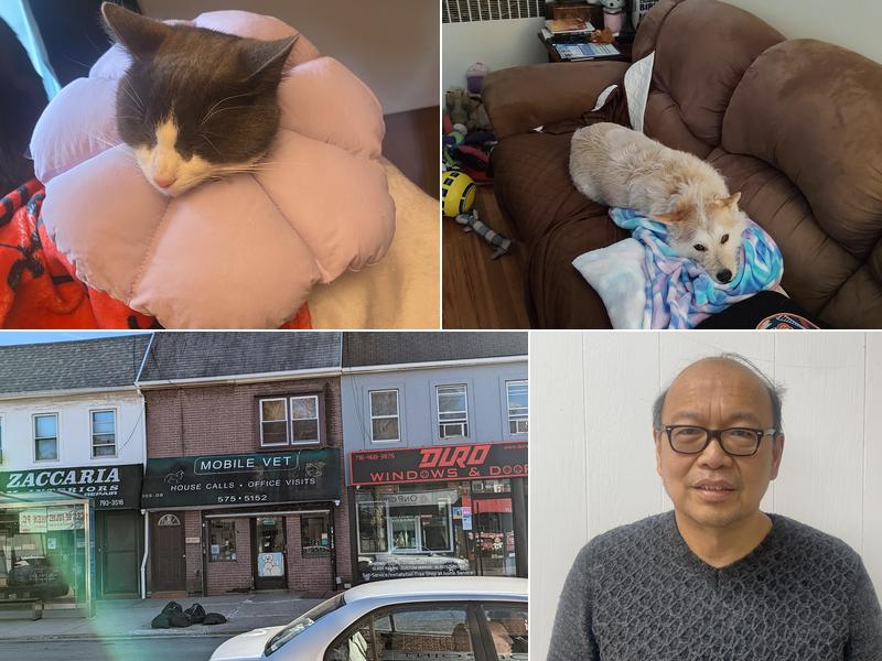 Mobile Veterinary Animal Clinic