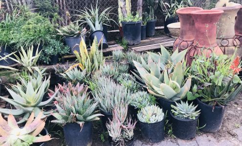 Green Acres Nursery Inc