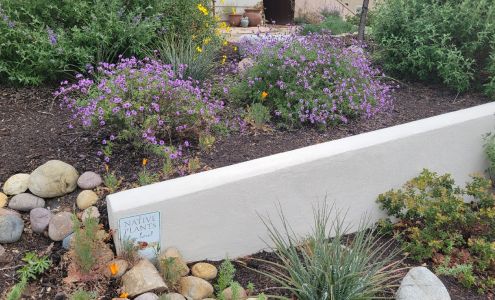 Kelly Green Native Landscape