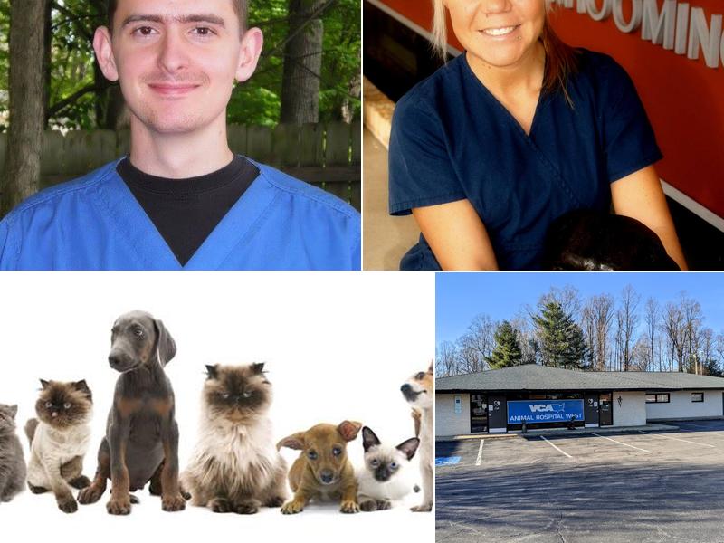 Animal Hospital West Boarding: Strickland Tim DVM