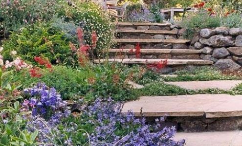 Lazar Landscape Design and Construction, Inc. 2884 Ettie St, Oakland California 94608