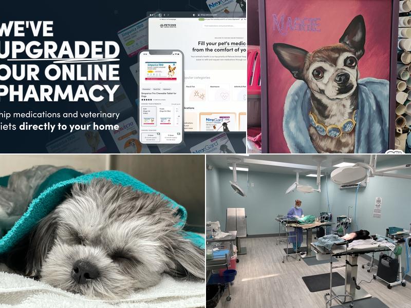 Spay/Neuter Veterinary Clinic of the Sandhills