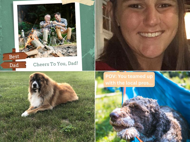 Boomerang Animal Rehabilitation Center