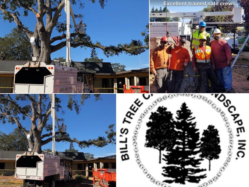 Bill's Tree Care & Landscape, Inc.