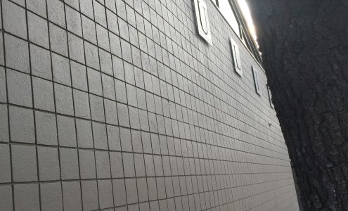 Tulip Hardwood Floors