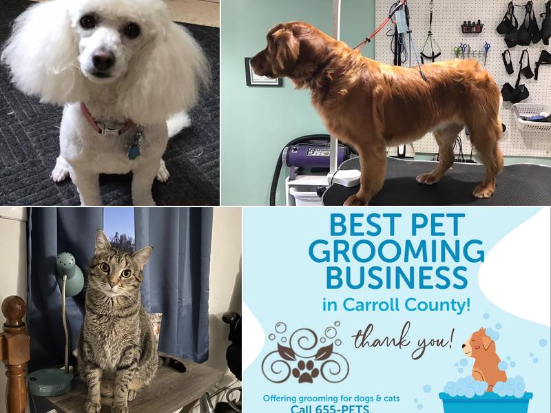 Wags-N-Whiskers Pet Grooming