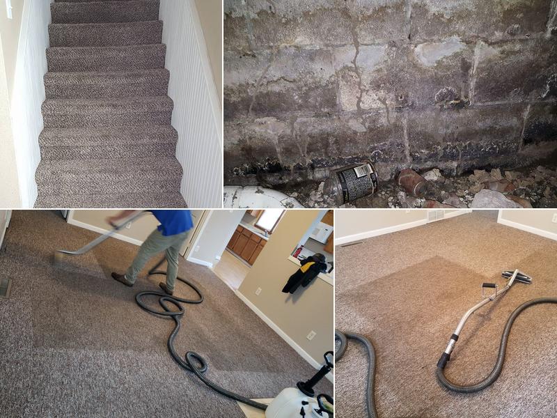 ASAP Pest Control & Carpet Cleaning