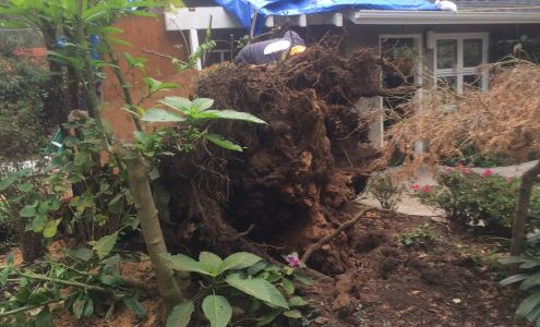 Kelly's Stump Removal, Inc. 1170 Mountain View -Alviso Rd, Sunnyvale California 94089