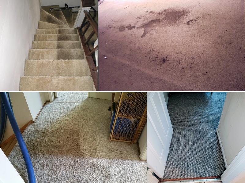 Genesis Carpet & Upholstery Cleaning Services
