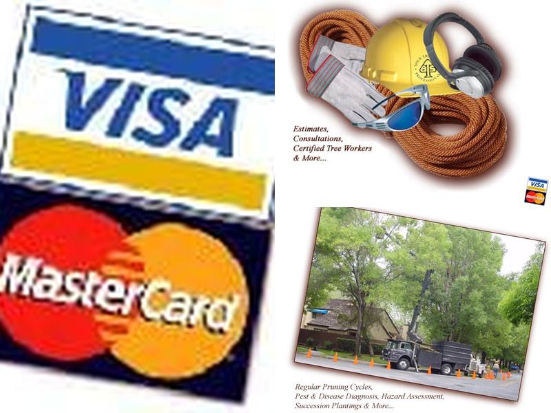 Biota Tech Services, Inc.