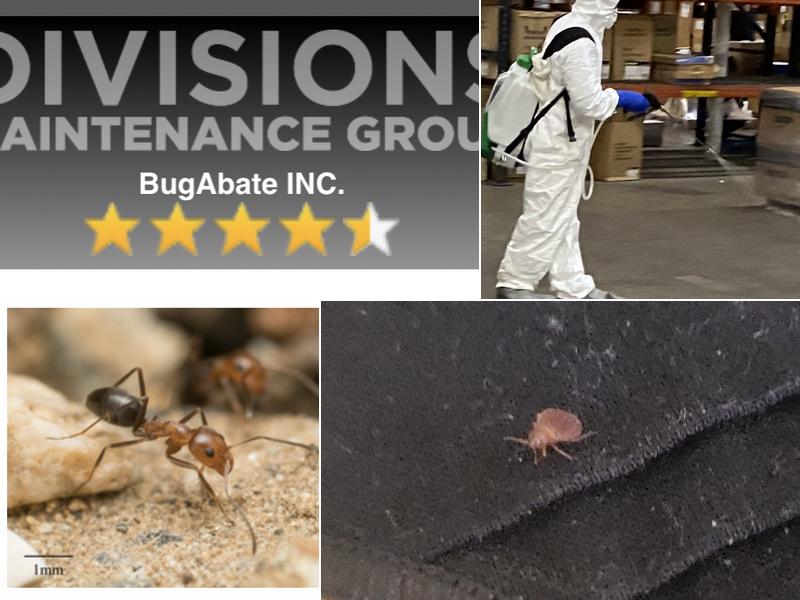 BugAbate Exterminators