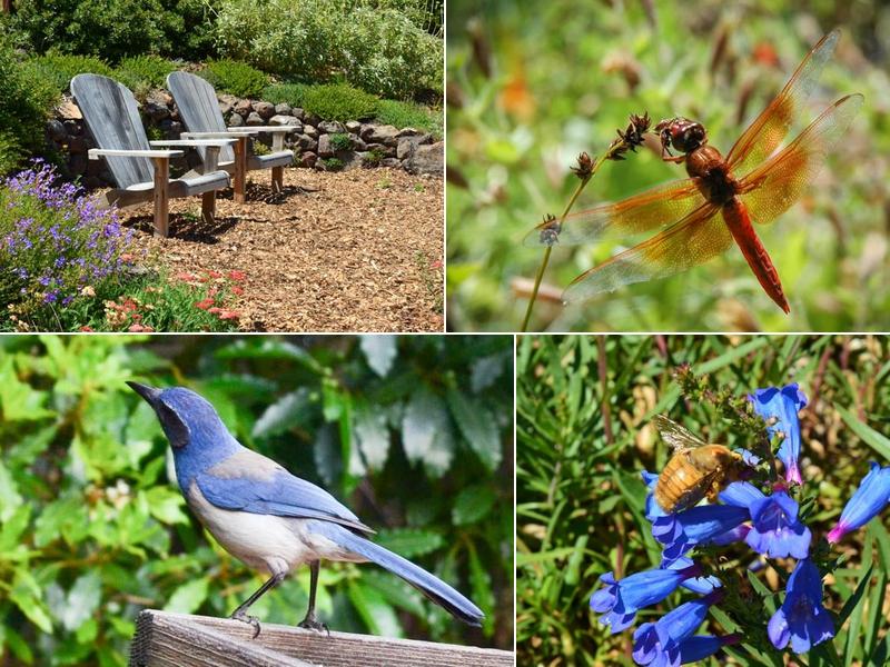 Four Dimensions Landscape Company