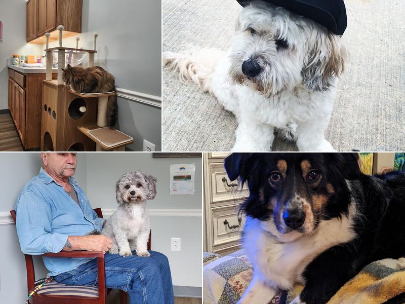 Seaport Veterinary Center