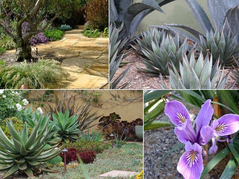 Cleator Landscape Design